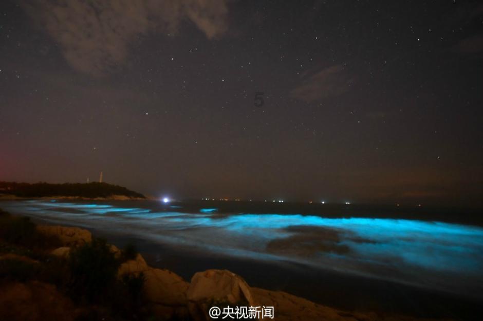 超能动物联盟