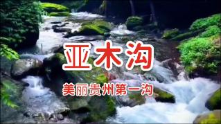 天涯明月刀