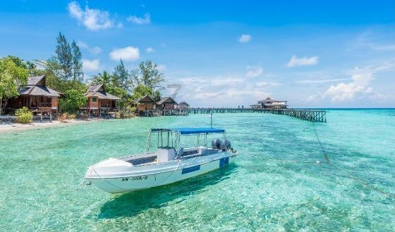 失忆的流浪者
