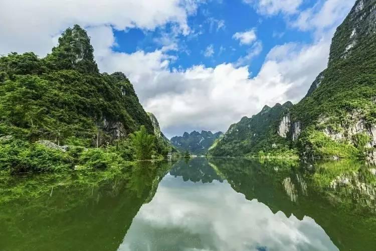 逃离未知丛林