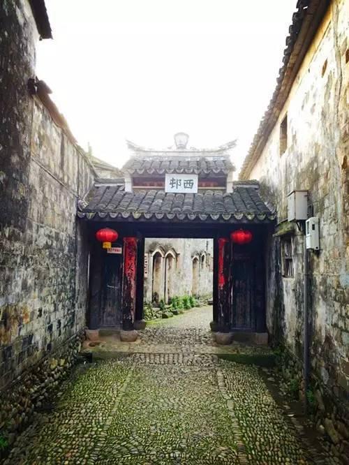 拯救精灵的土地5