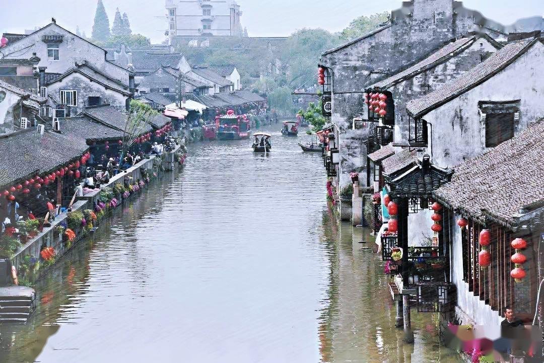 爱丽丝和闺蜜
